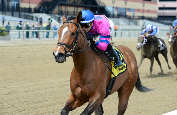 Eclipse Award 2015 La_verdad_distaff_2015_615x400_orig