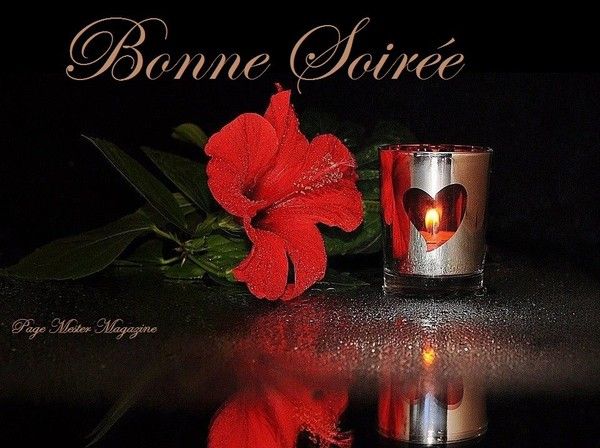 Bonjour, bonsoir..... - Page 7 A4bc294c