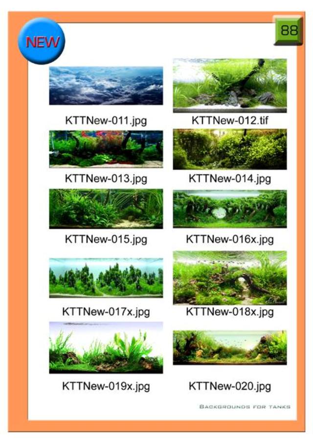 Tranh 3D cho bể cá! Tranh-3d-88