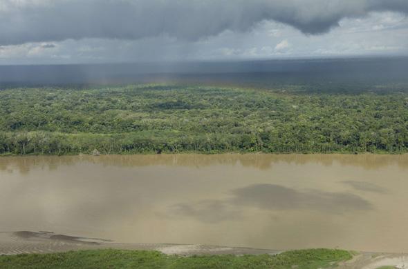 L'Amazone touche le fond Article_amazone