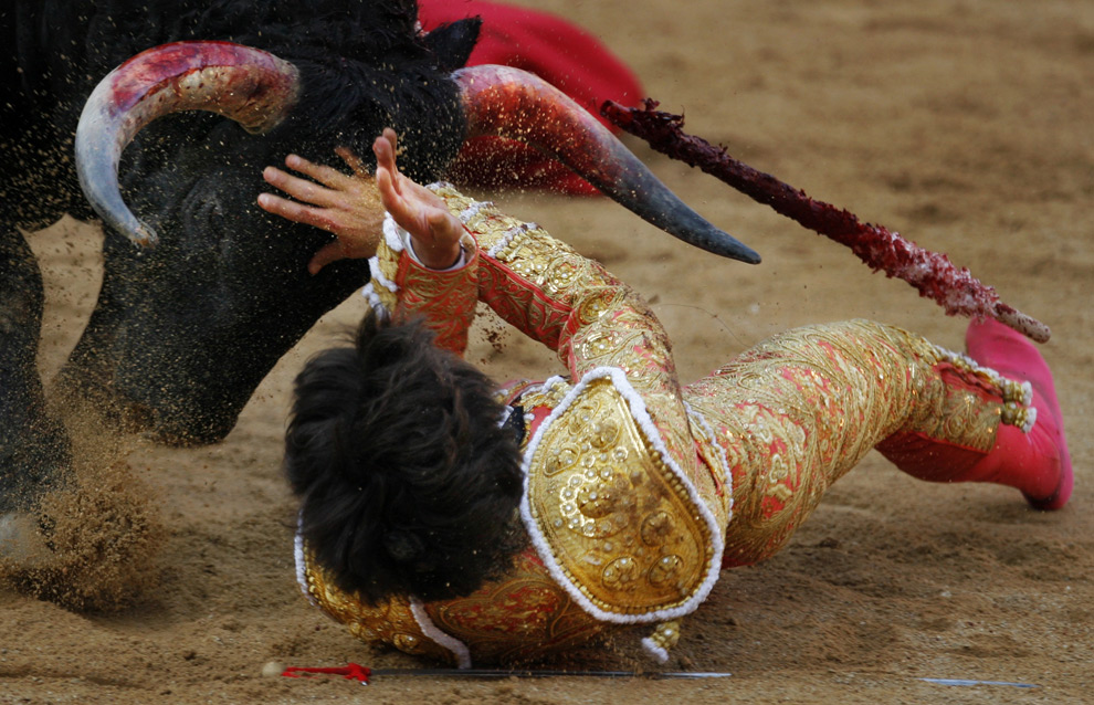 Running with the Bulls in Pamplona, Spain Bulls13