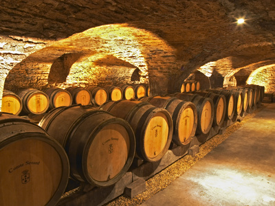 Bonne Vendredi Karlsson-per-oak-barrels-in-cellar-at-domaine-comte-senard-aloxe-corton-bourgogne-france