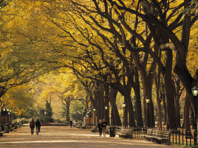 Weg Bibikow-walter-central-park-new-york-city-ny-usa