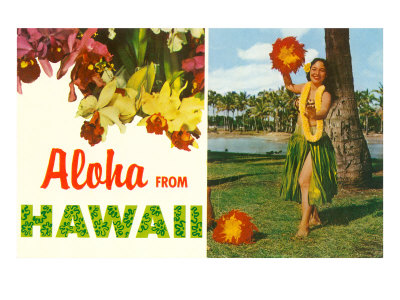 Ptit nouveau Aloha-de-hawai-danseuse-hawaienne-et-fleurs