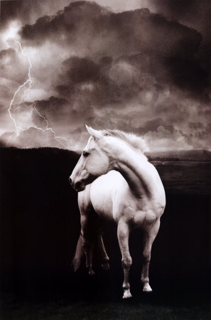 Isis Nigra Nox White-horse