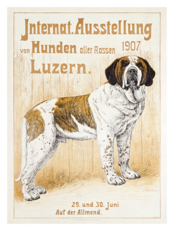 Le saint Bernard rétro LBDK000Z