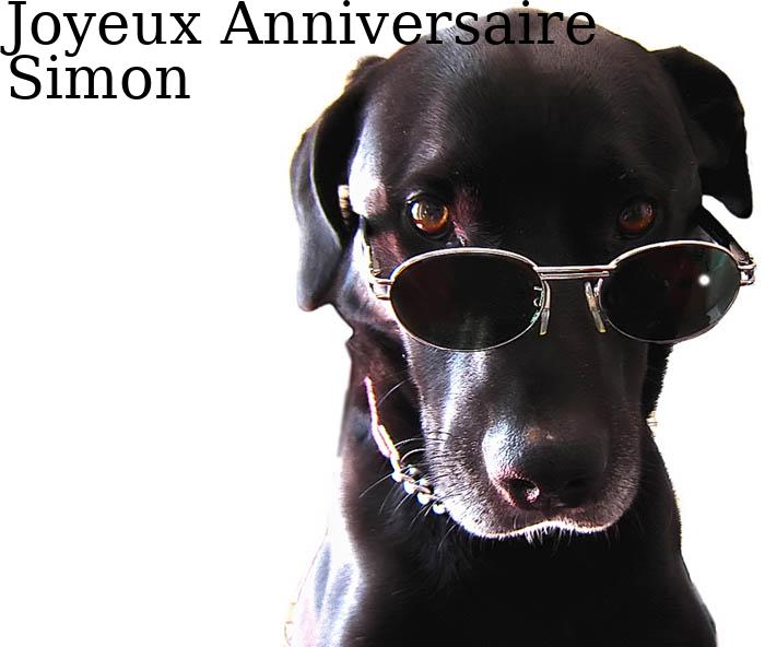 Anniversaire - Page 10 Carte-joyeux-anniversaire-Simon-29-1620-big