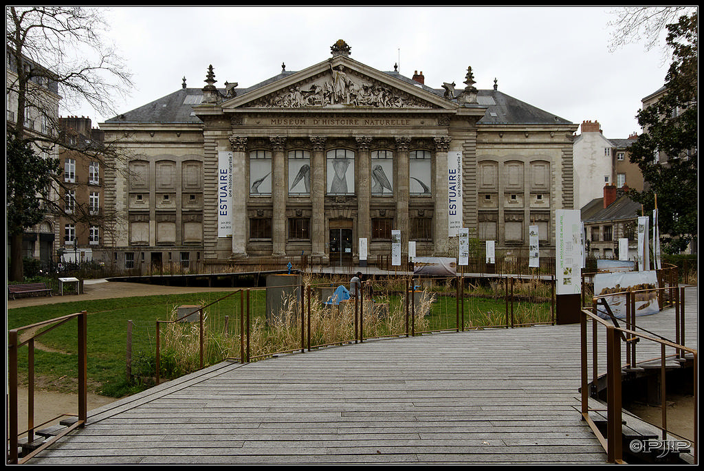 Nantes 20130322_IMGP9833_DxO_1024-400koMax