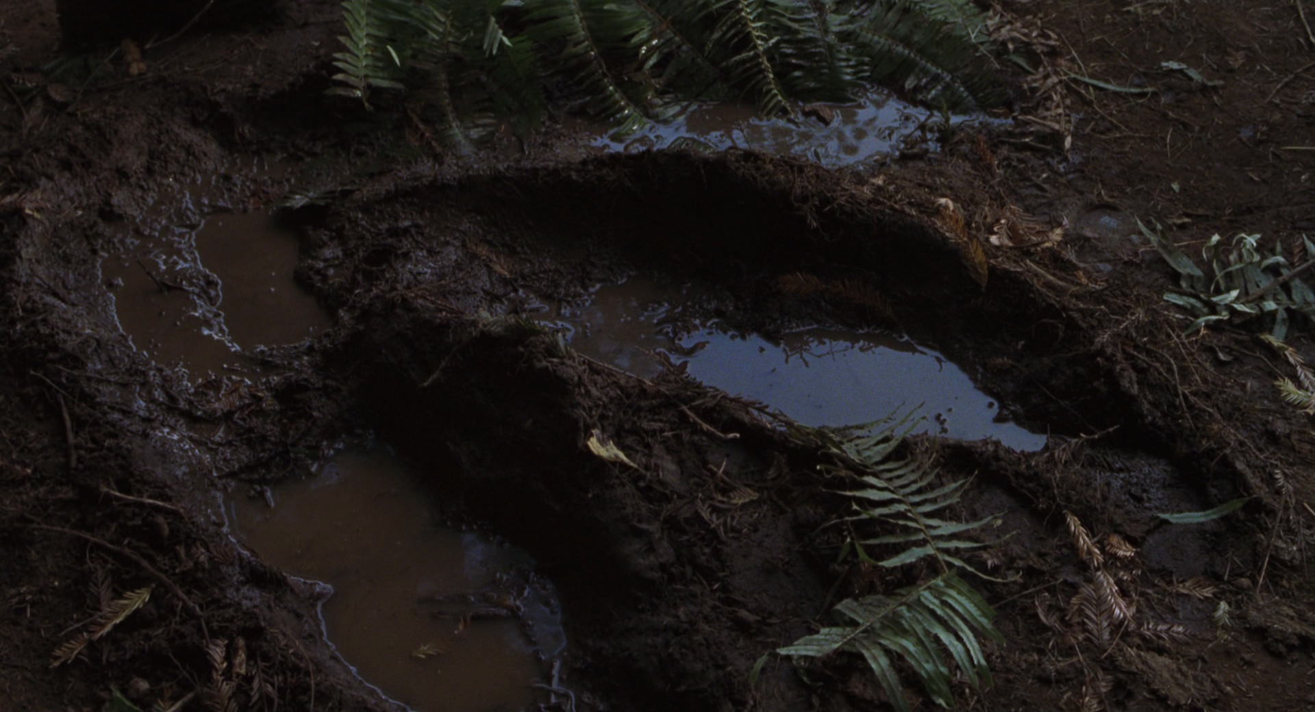 The Lost World Jurassic Park Screencaps Are Here 