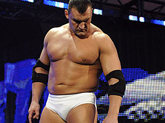 TWE Elimination Chamber 2011 Kozlov3_Ebene_1_2