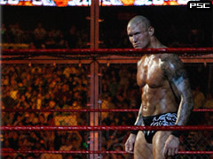 Elimination Chamber - 21.02.10 - Elimination Chamber Match RKO_Hell_in_a_cell_2