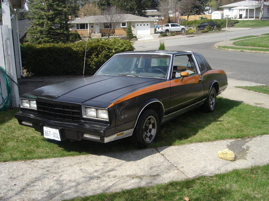 1981 Chevrolet Monte Carlo 33141120011_large