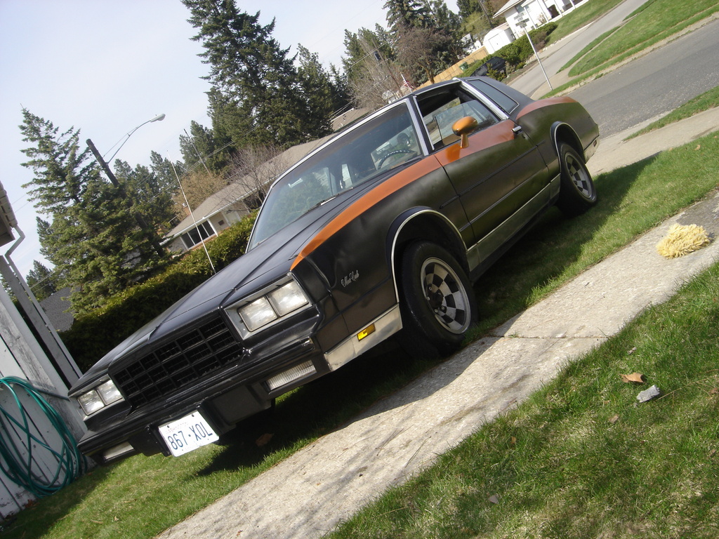 1981 Chevrolet Monte Carlo 33141120012_large