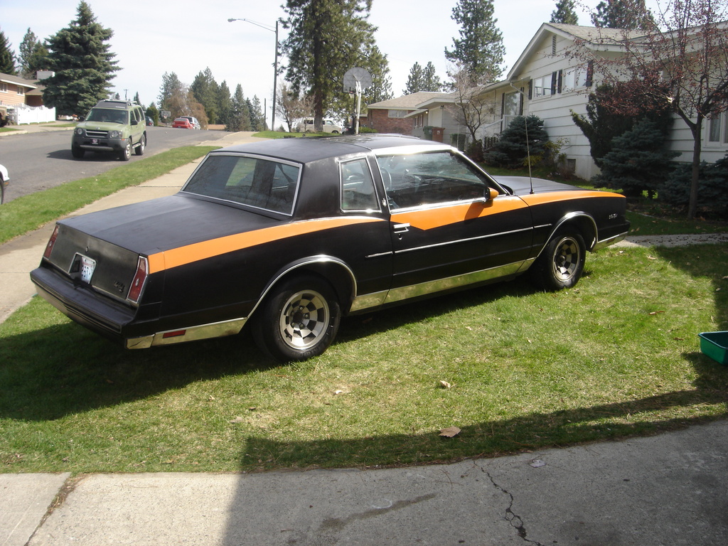 1981 Chevrolet Monte Carlo 33141120014_large