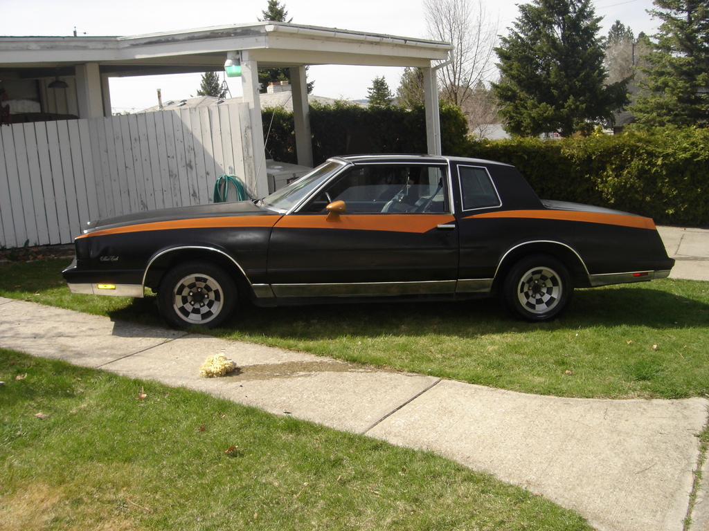 1981 Chevrolet Monte Carlo 33141120016_large