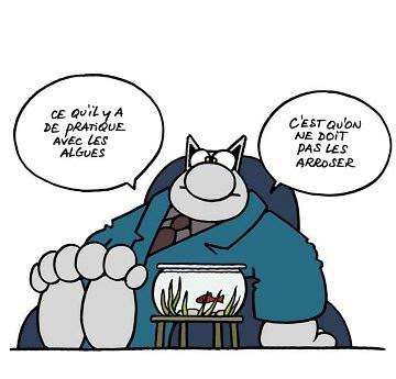 Le Chat Geluck9