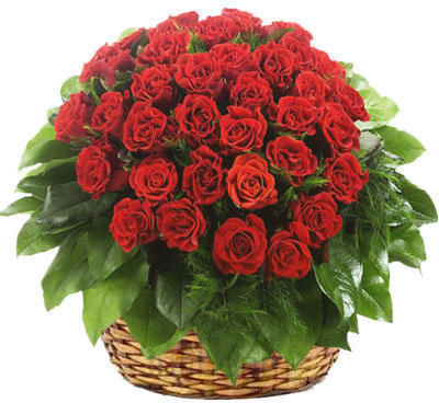 Get 17% Off on Lovers Choice Red Roses Basket Only Rs 1,347 [Infibeam] Heart2hearth2hflbs067e79c.jpg.f598171b38.999x400x368