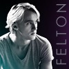 (M) FELTON ϟ echec mon cher !  74495c