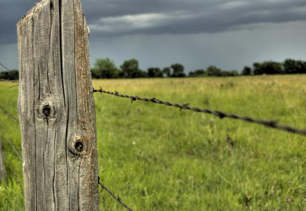 Just a post... Santa-rosa-fence-post