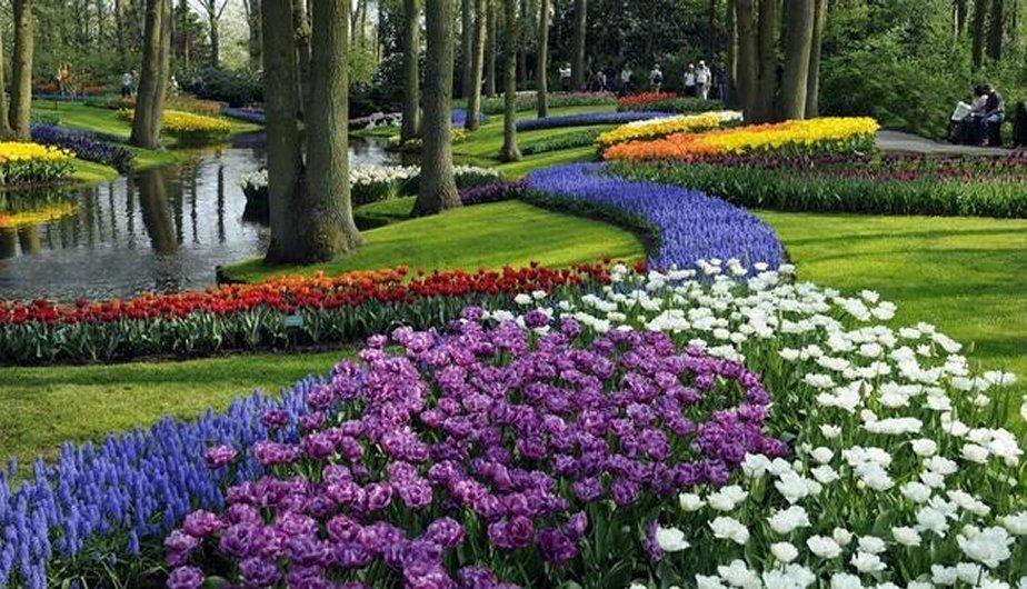   ✿⊱╮❀  !  LA PRIMAVERA HA VENIDO...!!  ❀  ✿⊱╮ Holanda