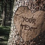     Tree%20Heart