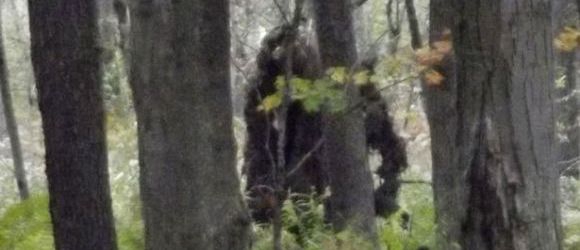 Deux Bigfoots photographiés en Pennsylvanie? Bigfoot_inside_full_content_pm_v8