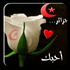 هدية لكل من يحب الجزائر 5616bab40b47a40e