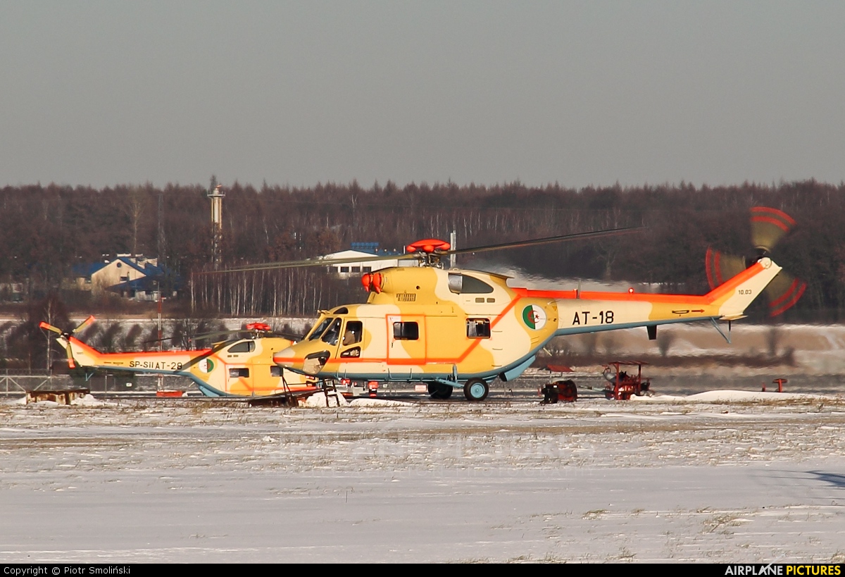 صور مروحيات القوات الجوية الجزائرية  [  PZL-Swidnik W-3A  SOKOL  ] 343699