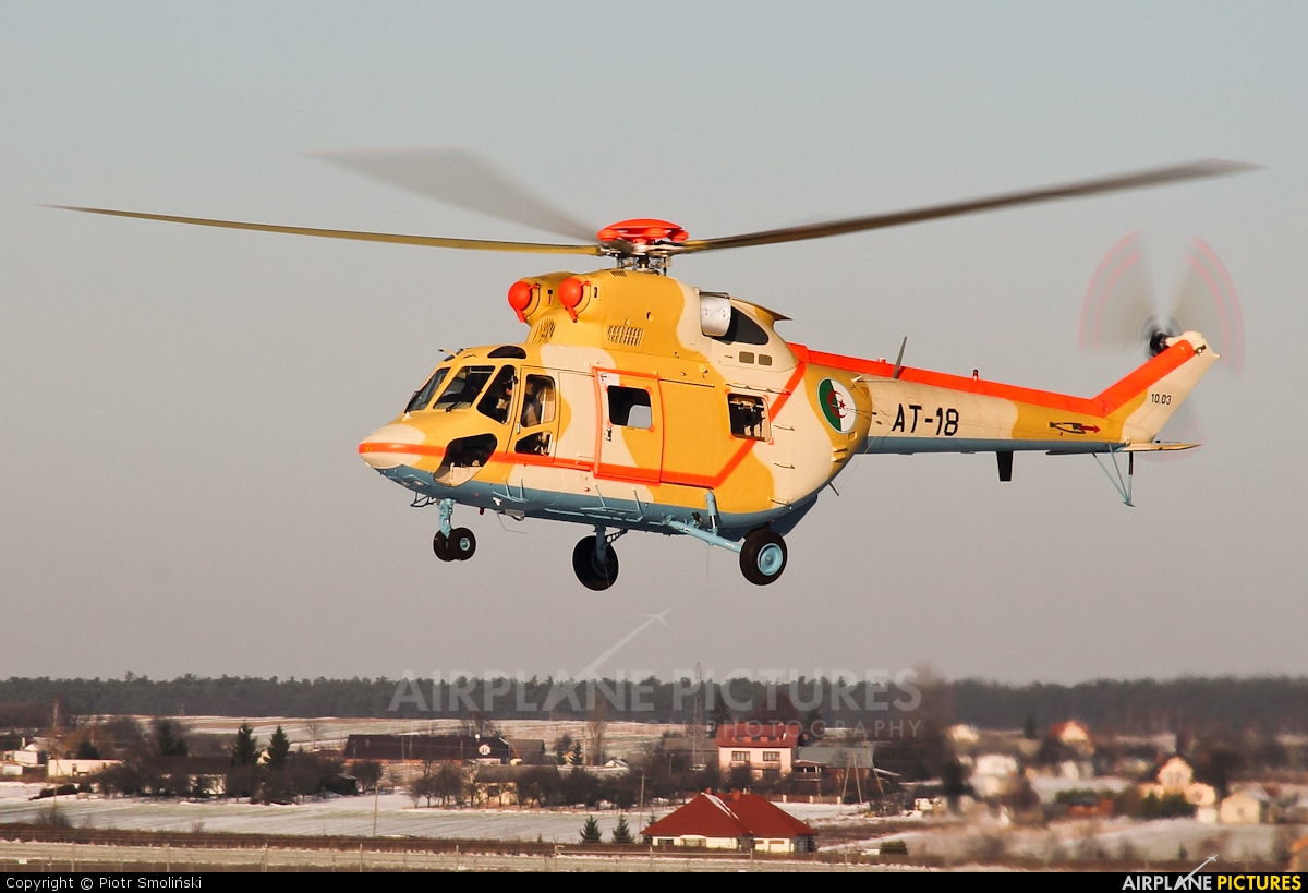 صور مروحيات القوات الجوية الجزائرية  [  PZL-Swidnik W-3A  SOKOL  ] 343238