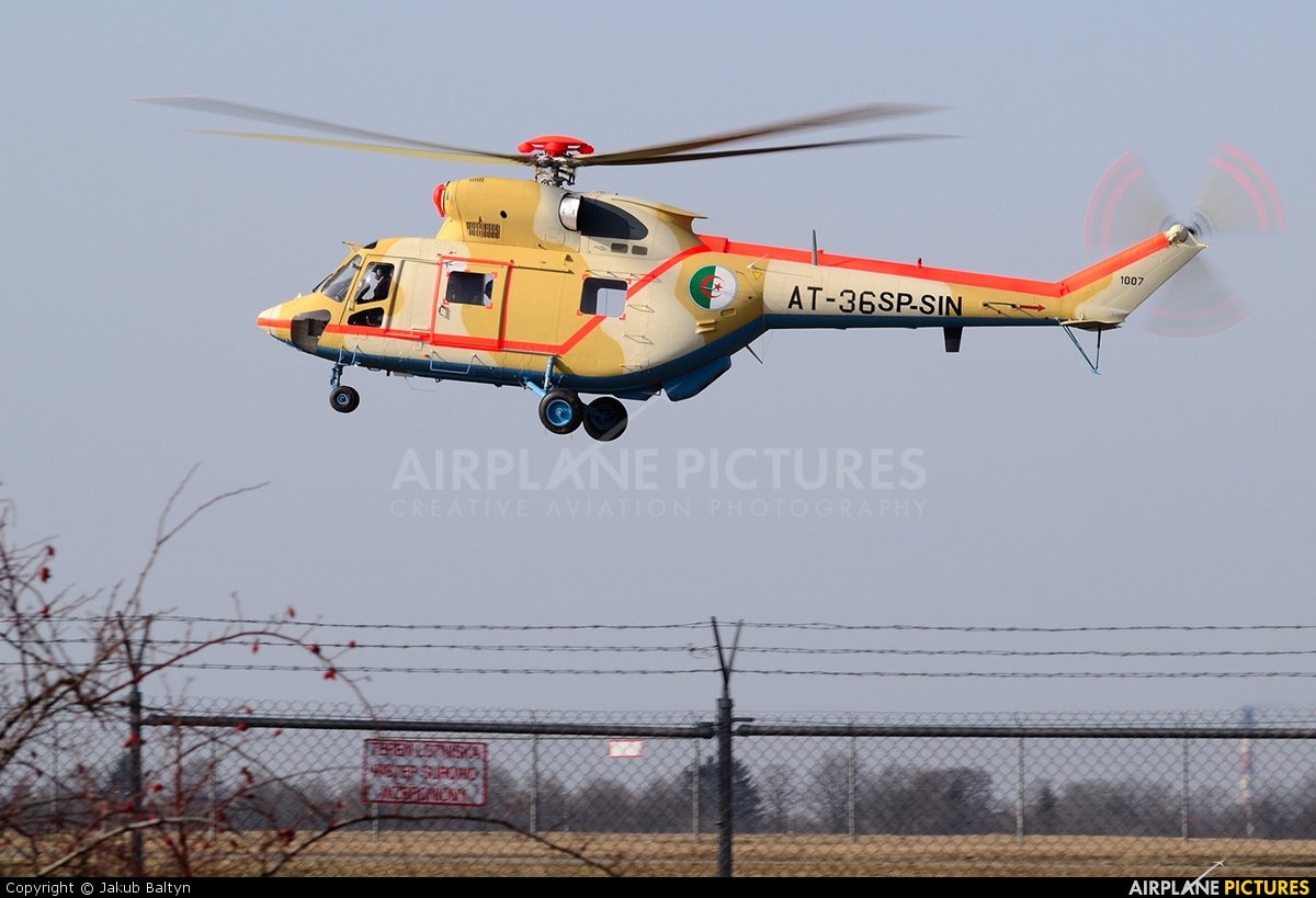 صور مروحيات القوات الجوية الجزائرية  [  PZL-Swidnik W-3A  SOKOL  ] 367273