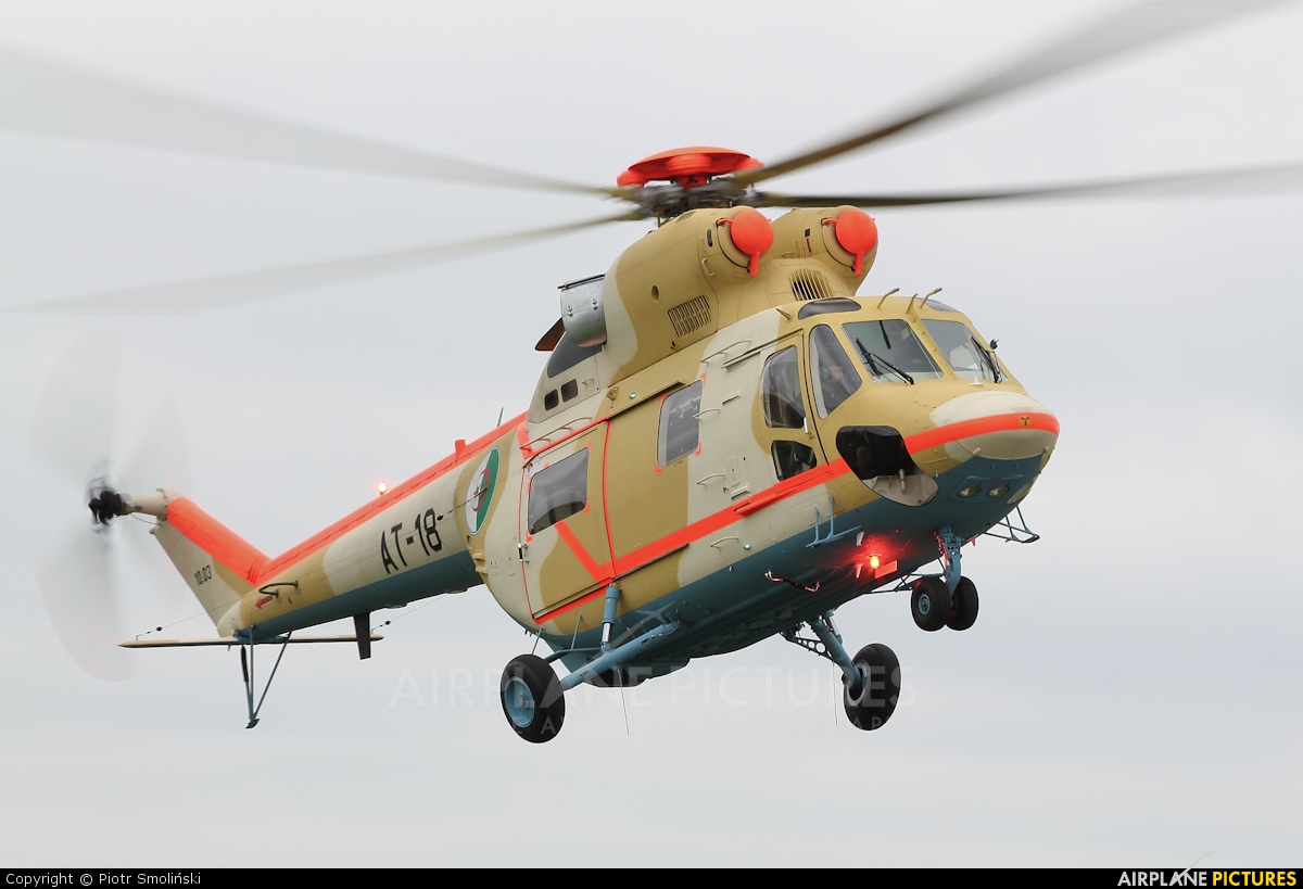 صور مروحيات القوات الجوية الجزائرية  [  PZL-Swidnik W-3A  SOKOL  ] 388016