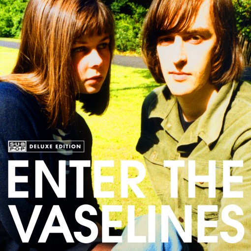 ¿Qué Estás Escuchando? - Página 22 Enter-the-vaselines