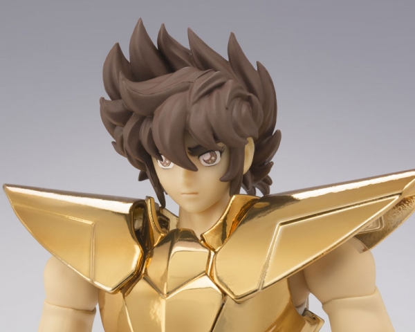 Myth Cloth EX Pegasus Seiya V2 OCE 40è Ann. (Novembre 2014) 1406889447_20936_Pegasus4