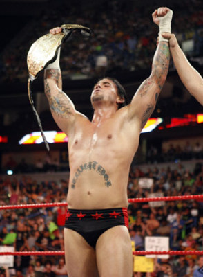 Cm Punk Display_image