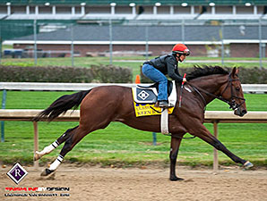 Route de la Breeders' Cup 2015 - Page 3 KeenIceCD10242015LawrenceVanGarrett298