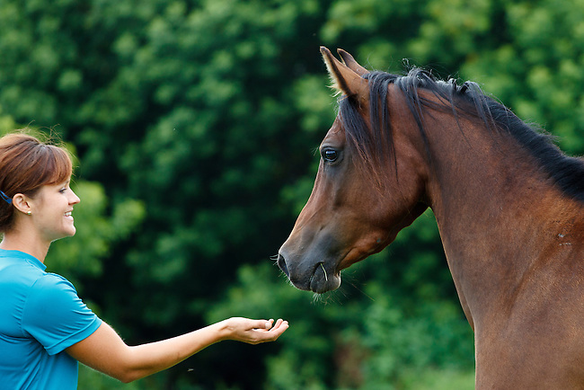 .::Ficha de Shiny::. Smiling-woman-reaching-out-hand-to-greet-bay-Arabian-horse-in-profile-MG-7231