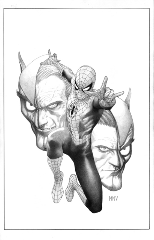 Galerie d'Images - Page 27 Spidey%20ann%20cvr