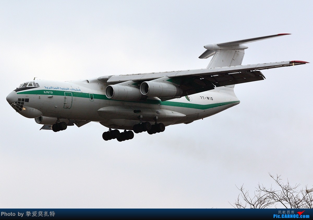 أكبر و أضخم موسوعة صور لطائرات النقل و الشحن الجزائرية AAF- iL 76/ iL 78 - صفحة 19 201504031010309234