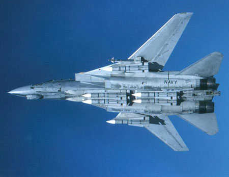 Mercenary Air Squadron - VBAM F-14-1