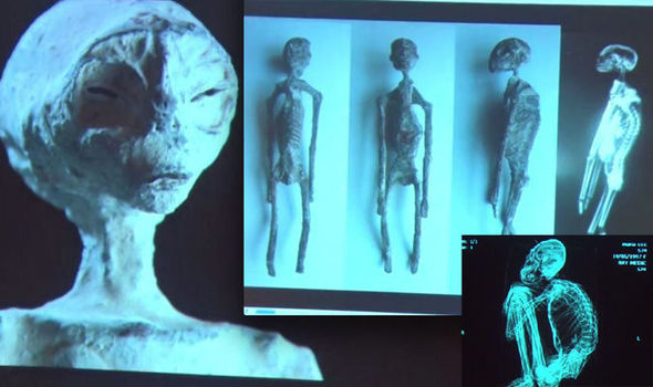 Nazca E.T. Mummies Update - (Free Espisode)  Alien-Mummy-828695