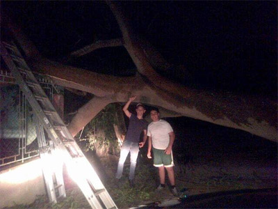 Temporal frío con fuertes vientos causa daños materiales en Honduras Viento