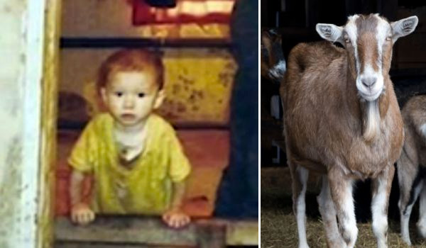 9 casos reales de niños criados por animales Criados-por-animales-6