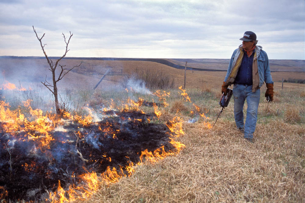 The Annual Burning of the Tall Blue Stem Grasses of KS Range_burning_with_drip_torch-1