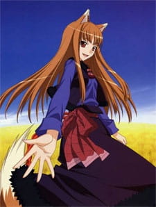 Spice And Wolf 6917