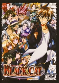 Black Cat 4197