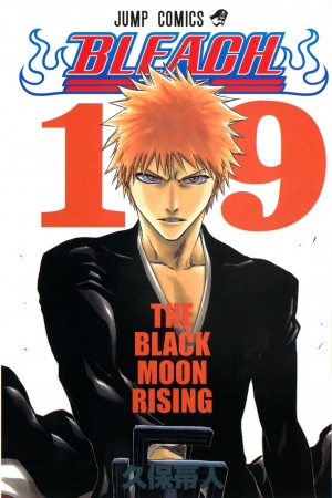 Bleach 24973l