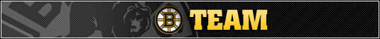 Boston Bruins Pro Team-new