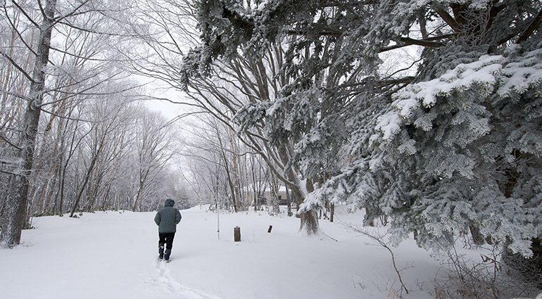 Quiet Rest  By David H. Roper January 25, 2015 25-770x425