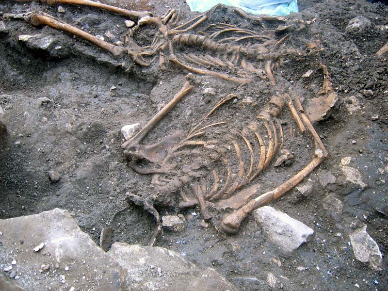 Pronađen ljudski DNK star 400.000 godina  Arheolosko_nalaziste