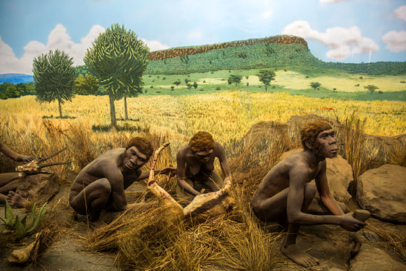 Homo luzonensis: New Species of Ancient Human Discovered Image_5980_1-Philippine-Hominins